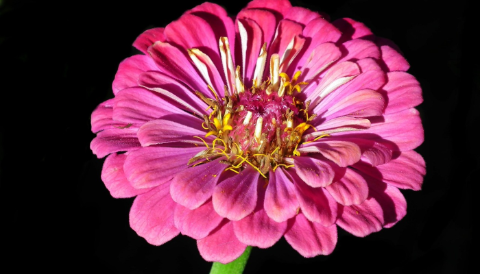 辅助开挂神器“南通长牌开挂神器下载”其实确实有挂 辅助开挂神器“南通长牌开挂神器下载”其实确实有挂