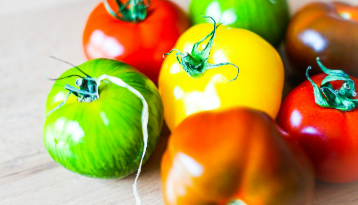 限时分享“加个菜十三水开挂神器”其实确实有挂 限时分享“加个菜十三水开挂神器”其实确实有挂