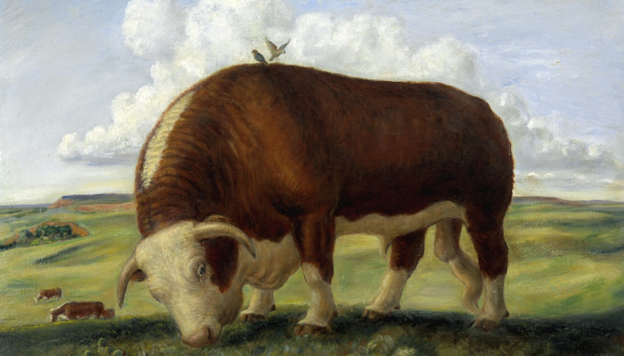 辅助开挂神器“经典比鸡能有什么好软件挂”其实确实有挂