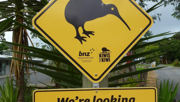 辅助神器“微乐江西麻将万能开挂器”开挂(透视)辅助教程