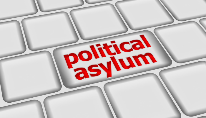 辅助开挂神器“新卡农金花怎么开挂”开挂(透视)辅助教程