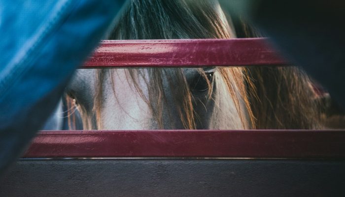 万能开挂辅助“情怀宜春麻将开挂器免费下载”开挂(透视)辅助教程 万能开挂辅助“情怀宜春麻将开挂器免费下载”开挂(透视)辅助教程