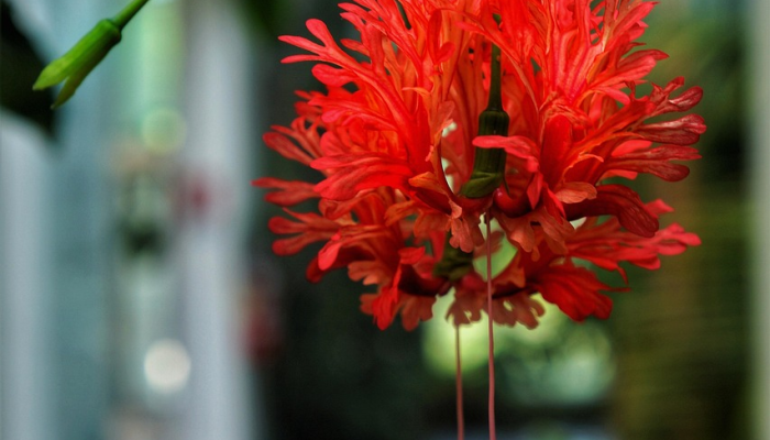 玩家实测“星悦山西麻将有挂吗”分享必要外挂教程 玩家实测“星悦山西麻将有挂吗”分享必要外挂教程