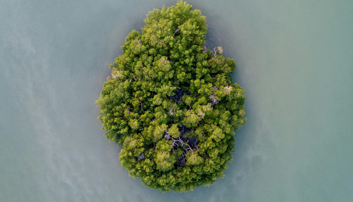 辅助神器“常州指尖游可以开挂吗”(透视)其实确实有挂 辅助神器“常州指尖游可以开挂吗”(透视)其实确实有挂