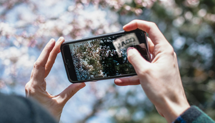 独家辅助解答“金州水鱼有没有挂辅助+透视挂(开挂)2026必备