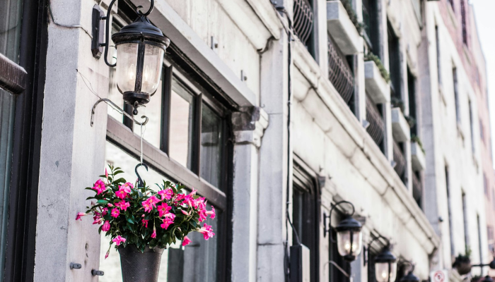 限时分享“欢乐龙城棋牌透视免费安装”开挂详细教程 限时分享“欢乐龙城棋牌透视免费安装”开挂详细教程