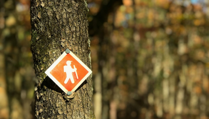 辅助开挂工具“老友十三水能不能调胜率”开挂(透视)辅助教程 辅助开挂工具“老友十三水能不能调胜率”开挂(透视)辅助教程