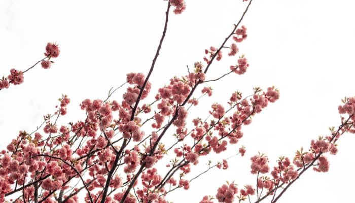 开挂辅助工具“网趣沈阳麻将开挂神器”(透视)其实确实有挂