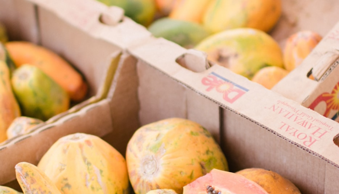 万能开挂辅助“讯奇麻将能不能开挂”详细分享装挂步骤