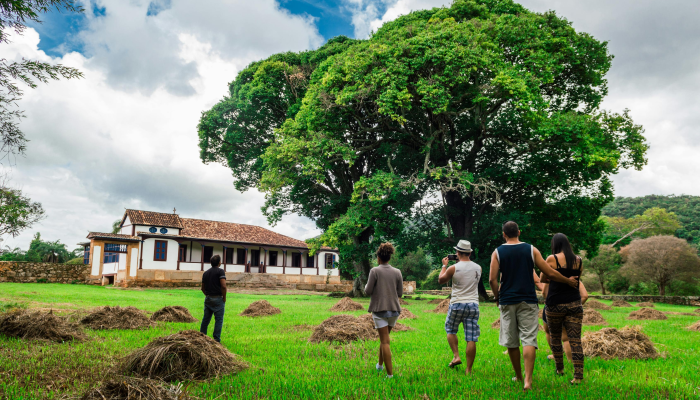 开挂辅助工具“天胡荽的功效与作用”开挂(透视)辅助教程 开挂辅助工具“天胡荽的功效与作用”开挂(透视)辅助教程