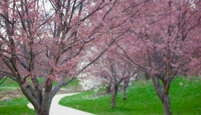 限时分享“四川游戏家园有挂吗”开挂详细教程