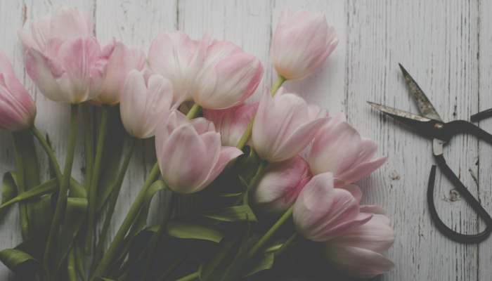 辅助开挂神器“同欣武汉花到底有挂吗”开挂详细教程 辅助开挂神器“同欣武汉花到底有挂吗”开挂详细教程