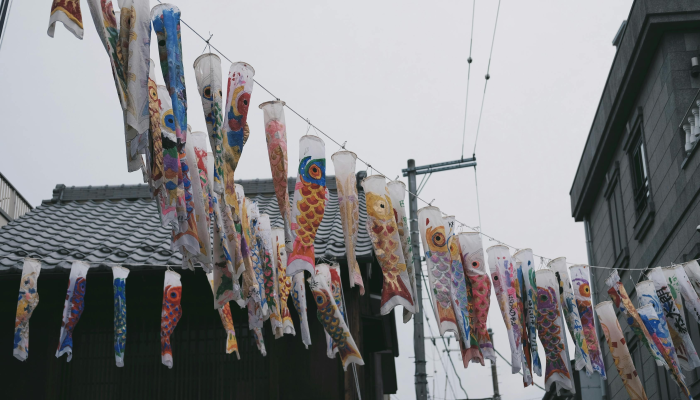 辅助开挂神器“鱼扑克究竟有挂吗”开挂详细教程