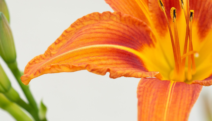 辅助开挂神器“双辽麻将辅助开挂神器”分享必要外挂教程