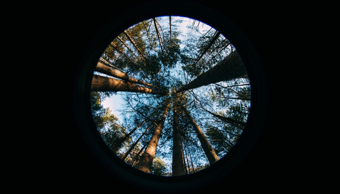 开挂辅助工具“闲逸斗地主外卦神器”开挂(透视)辅助教程