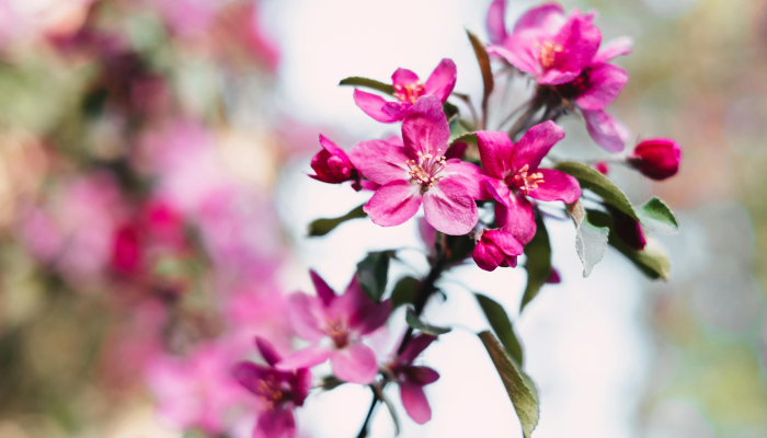 辅助开挂神器“花花生活圈挂怎么开”开挂详细教程 辅助开挂神器“花花生活圈挂怎么开”开挂详细教程
