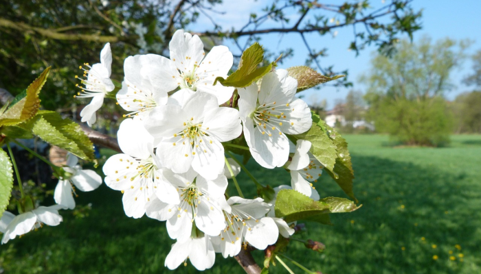 万能开挂辅助“常德跑胡子有没有辅助工具”详细分享装挂步骤 万能开挂辅助“常德跑胡子有没有辅助工具”详细分享装挂步骤