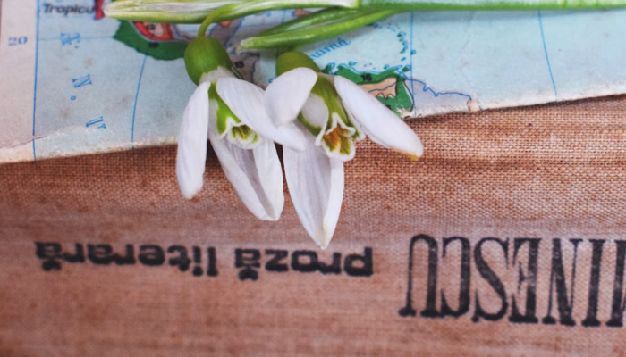 辅助开挂神器“天天忻州麻将三是不是有挂”开挂详细教程