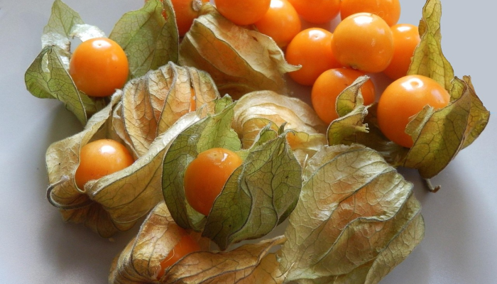 实测教程”约战荆门麻将有挂么”【透视软件教程分享】 实测教程”约战荆门麻将有挂么”【透视软件教程分享】