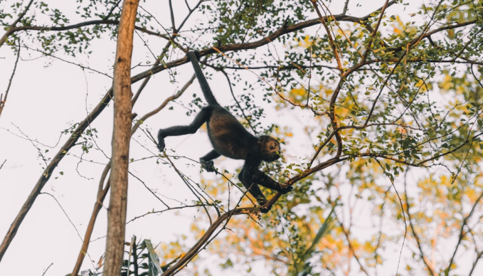 万能开挂辅助“麦穗真的有挂吗”详细分享装挂步骤 万能开挂辅助“麦穗真的有挂吗”详细分享装挂步骤
