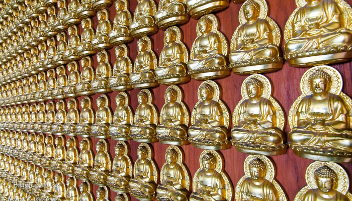 实测教程”山水云南麻将开挂神器”分享用挂教程 实测教程”山水云南麻将开挂神器”分享用挂教程