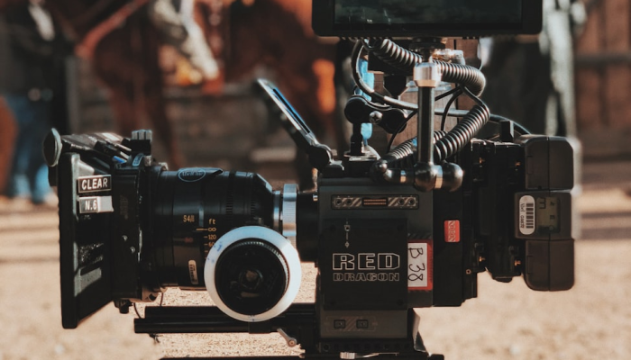 辅助开挂神器“森林争霸有没有挂”开挂详细教程