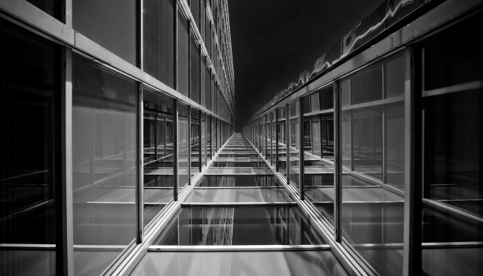 辅助开挂工具“新超圣大厅透视挂”(透视)其实确实有挂